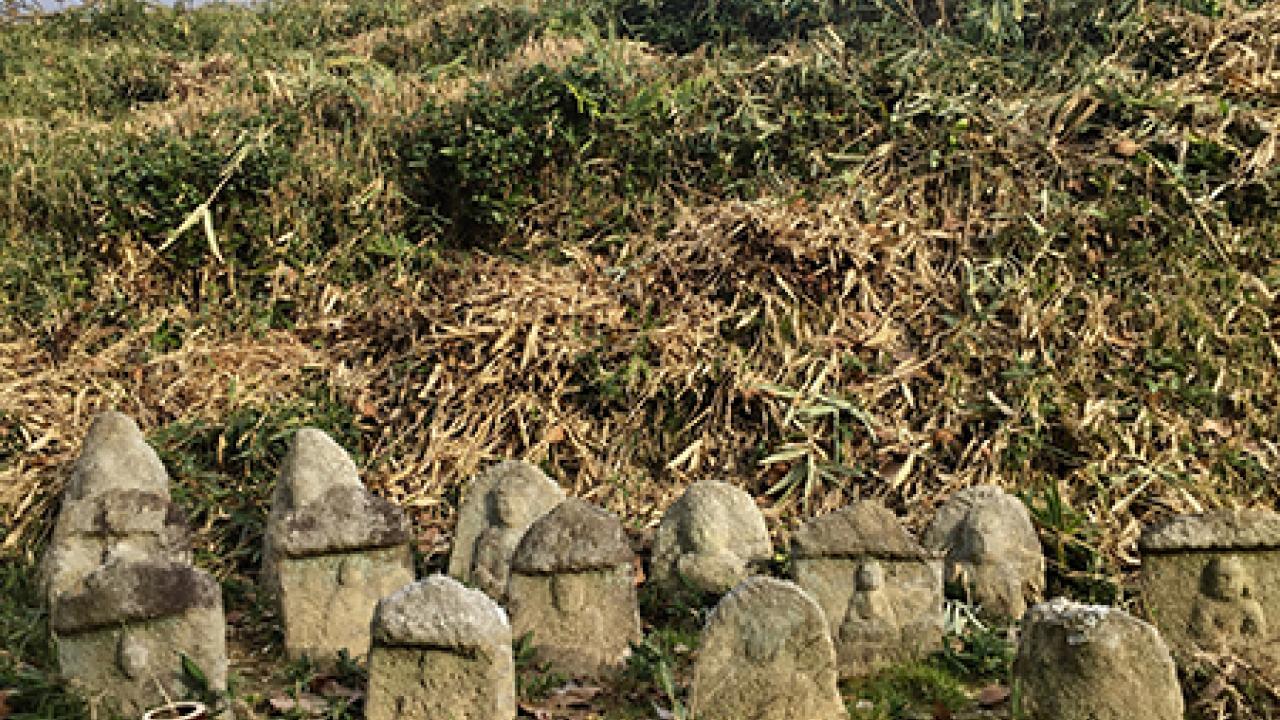 Buddha garden