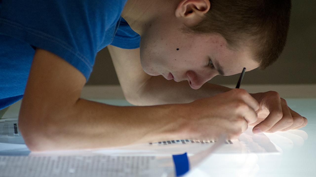 humanities majors find success in creative writing