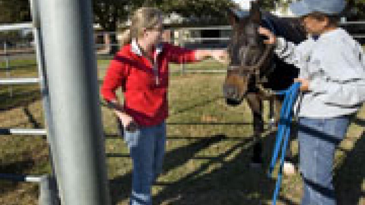 Animal Health Technician Dawne Roper gives Peigh&rsquo;s horse, Kid, some attention after his bath and grooming session at the Center for Equine Health.