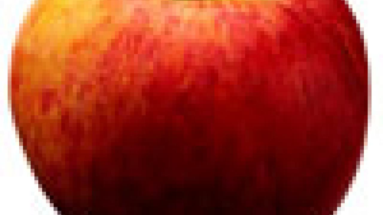 photo: apple