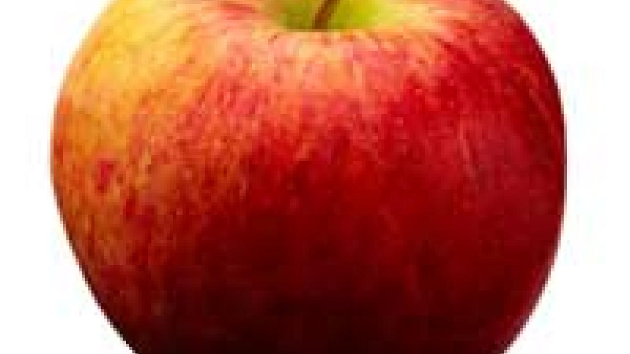 Photo: apple