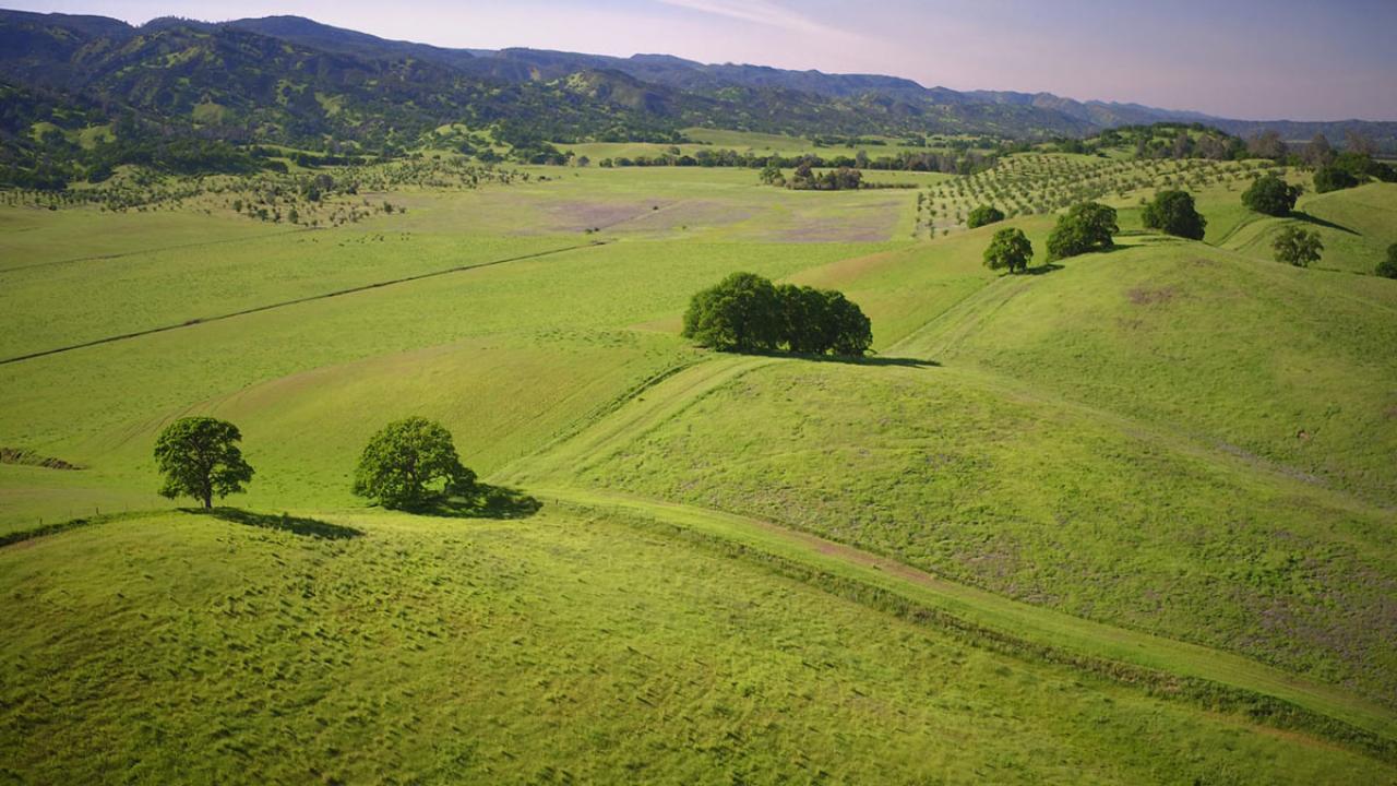 Rolling lands of green.