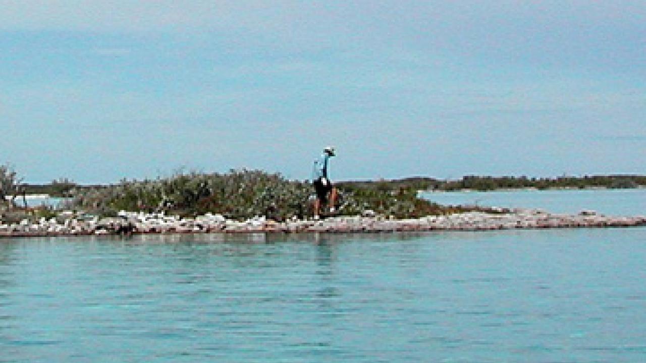 Photo: man on island