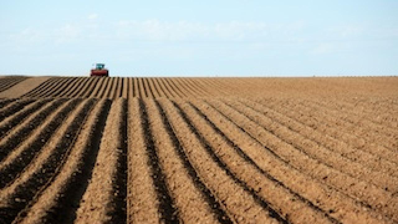 Field being plowed