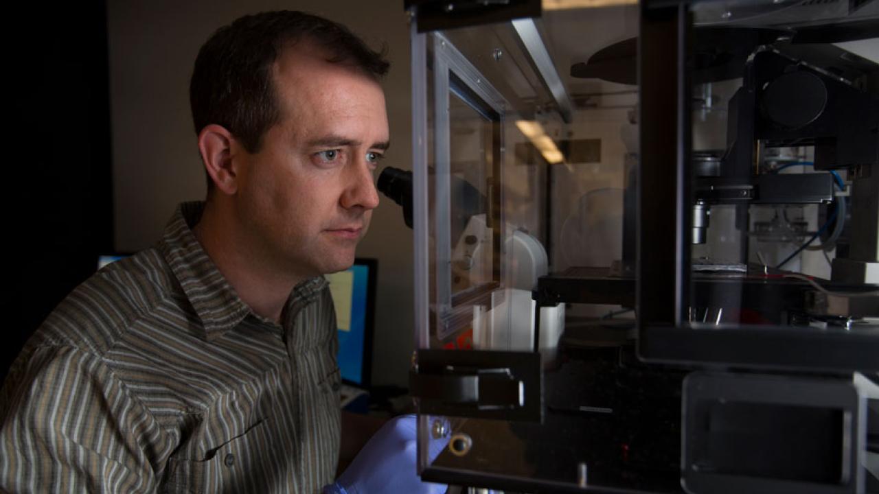 Sean Collins in lab