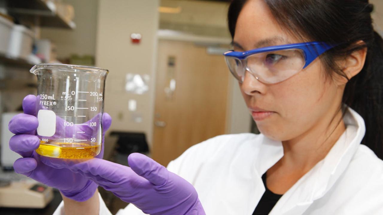 Selina Wang peers at olive oil in beaker, in lab.