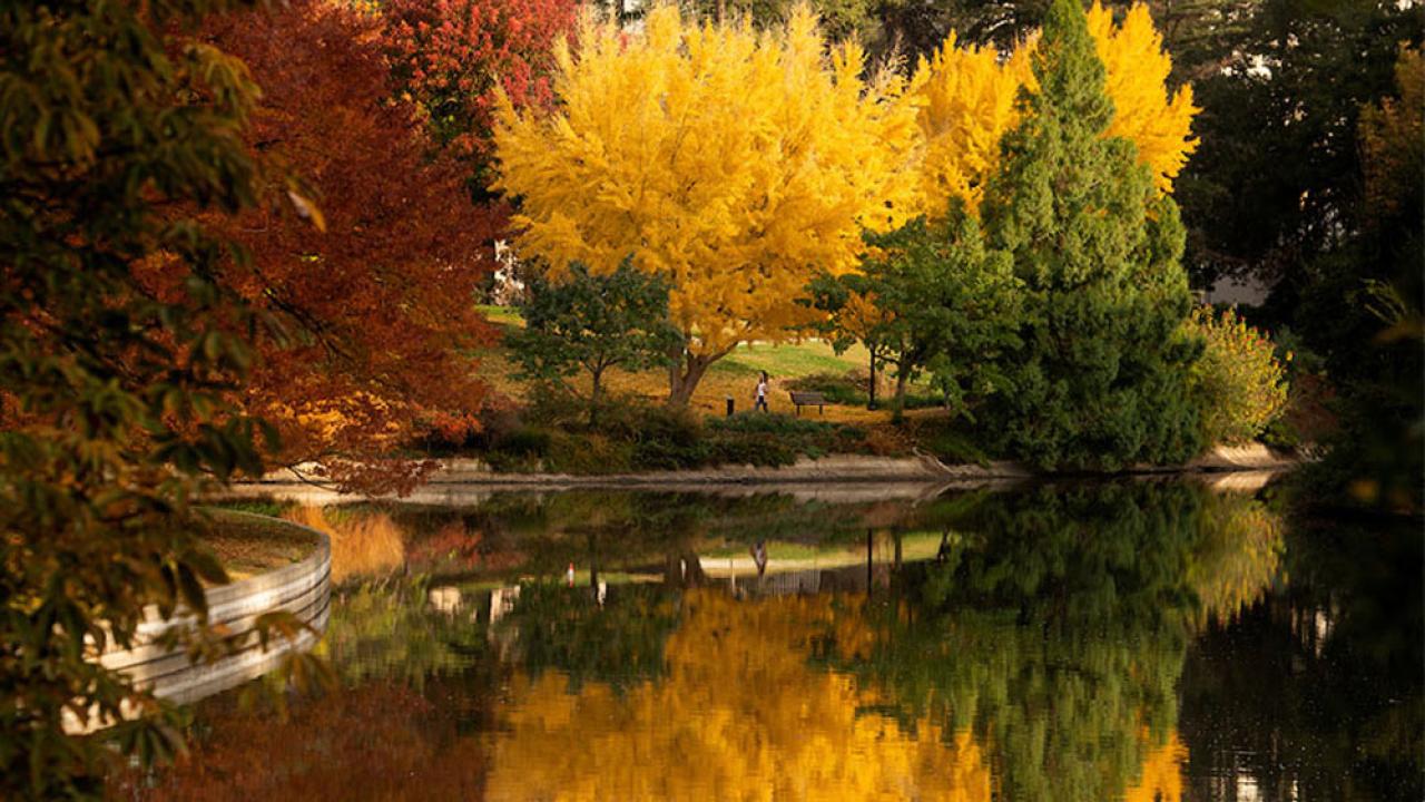 Lake Spafford, autumn, trees reflected on water