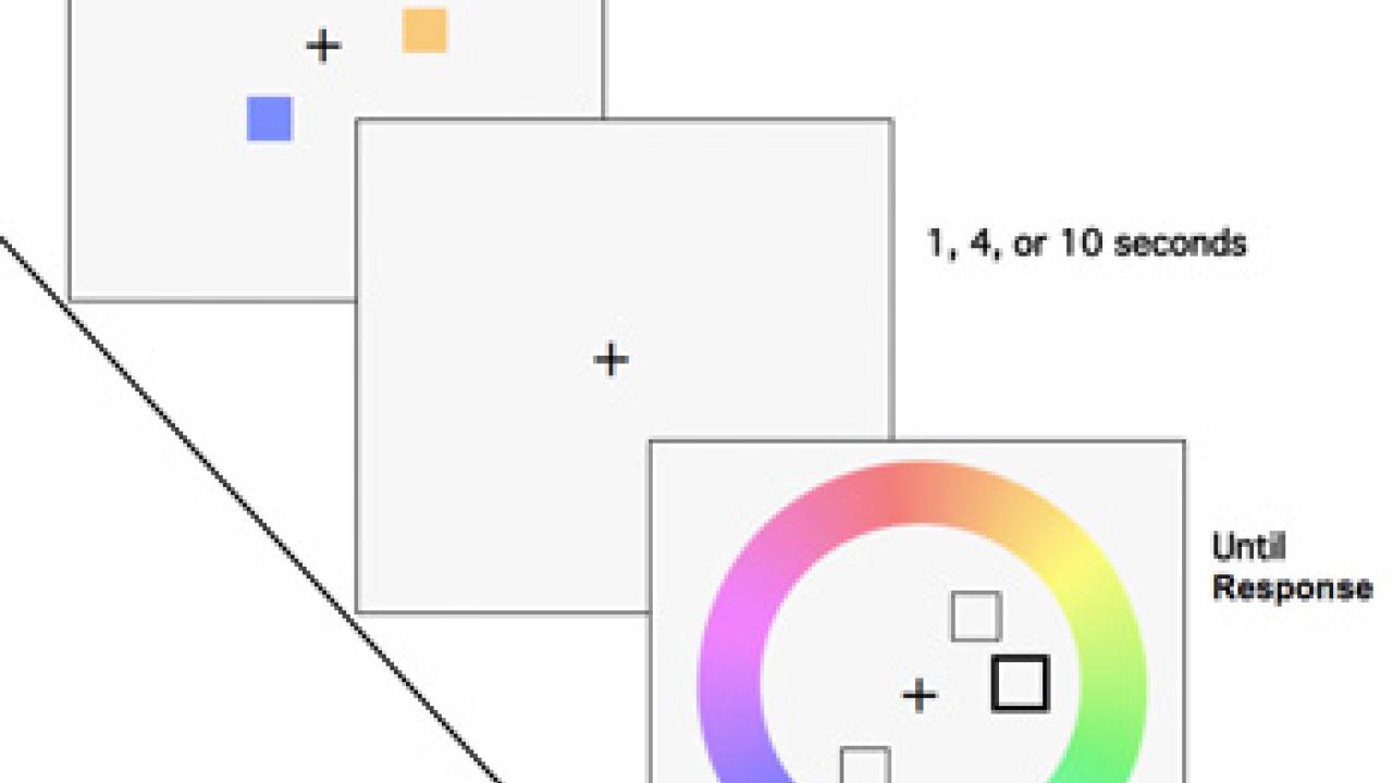 These colored squares and color wheel were used to test the duration and precision of short-term visual memory.