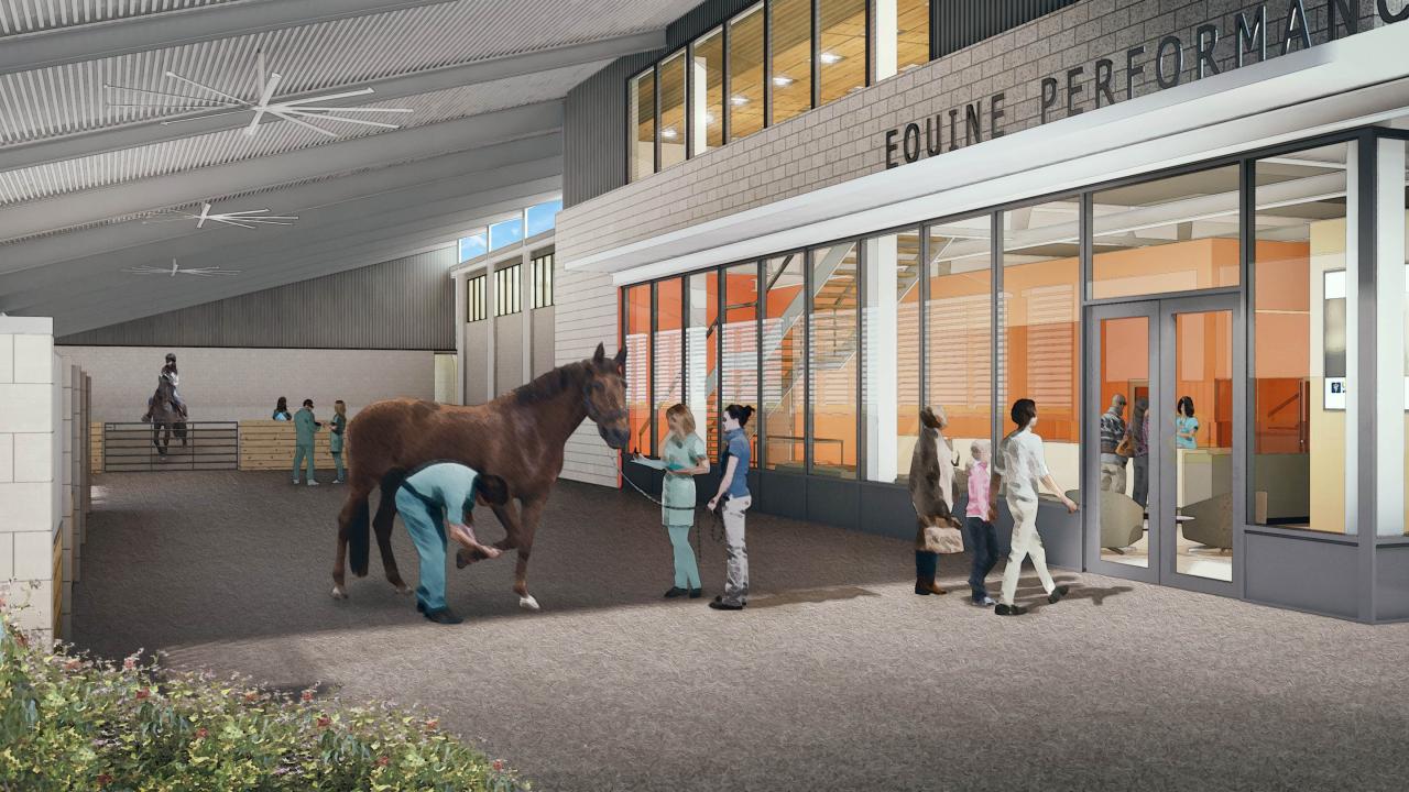 Future Veterinary Medical Center