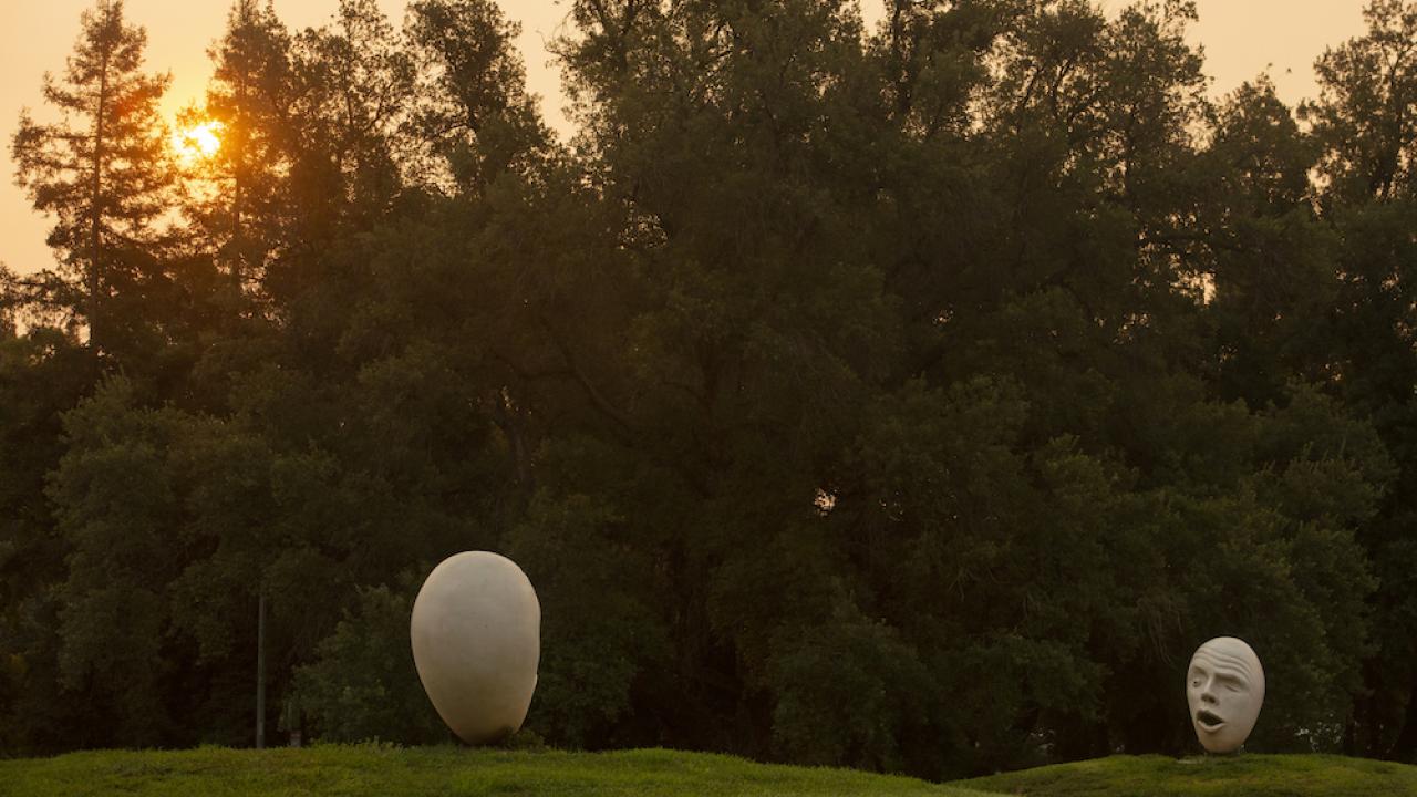 Hear No Evil See No Evil egghead scuplture at UC Davis