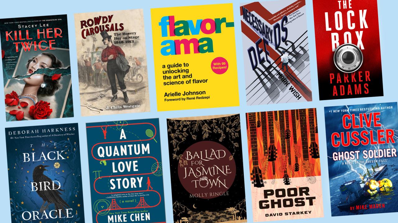 Collage of book covers from 2024