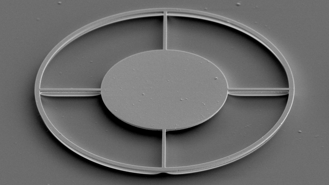 Grey oval outline divided into quarters against a grey background. 
