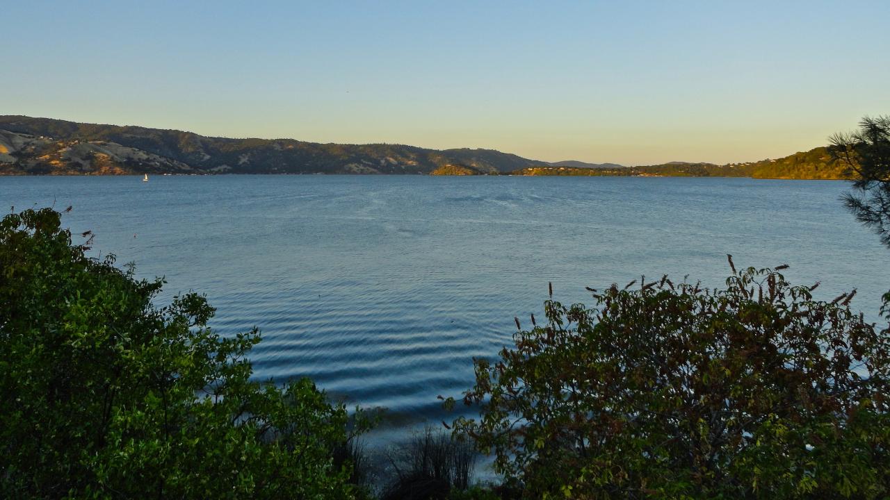Clear Lake with bushes framing foreground