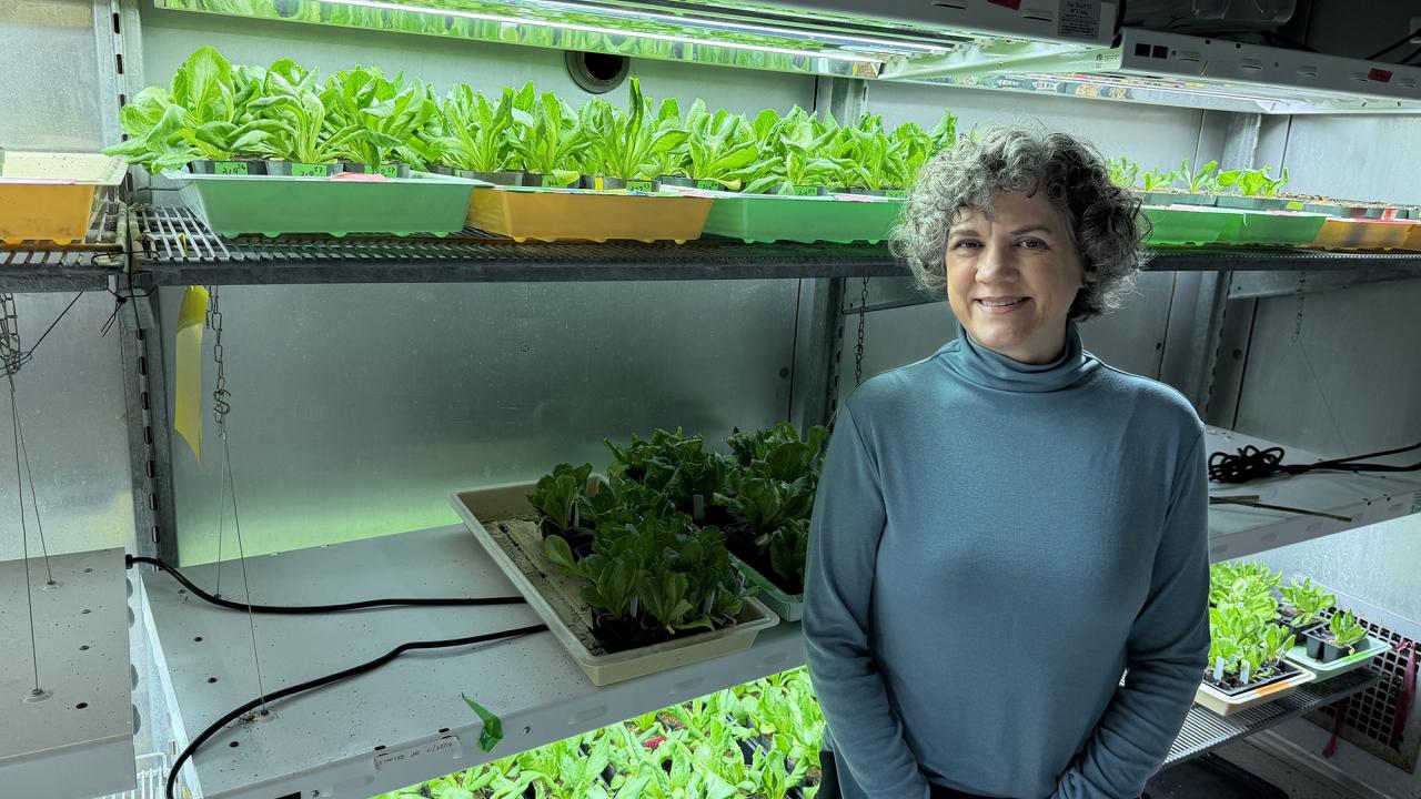 Woman in a blue sweater stands beside shelves of vibrant green plants under grow lights.