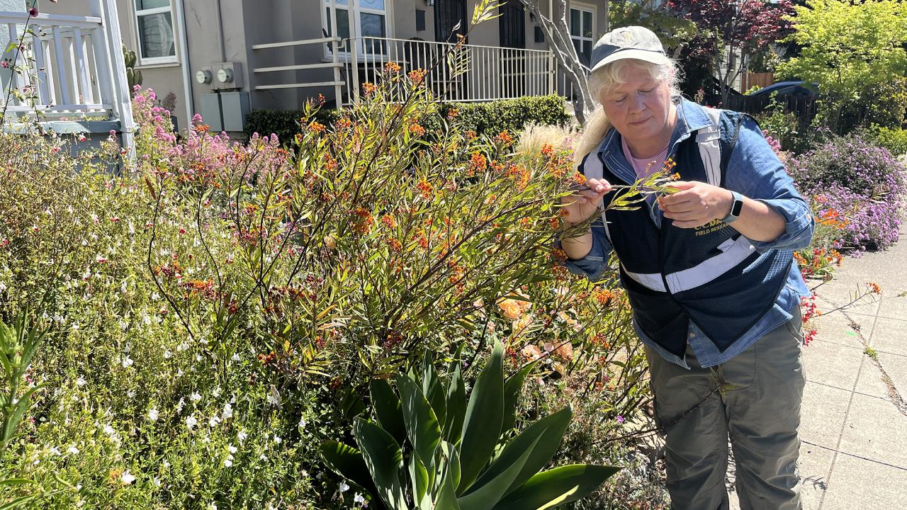 A large colorful bush outside a house fills the left and center of the screen. A woman with blonde hair wearing a blue jacket and hat is holding a branch of the bush and looking closely at it. 