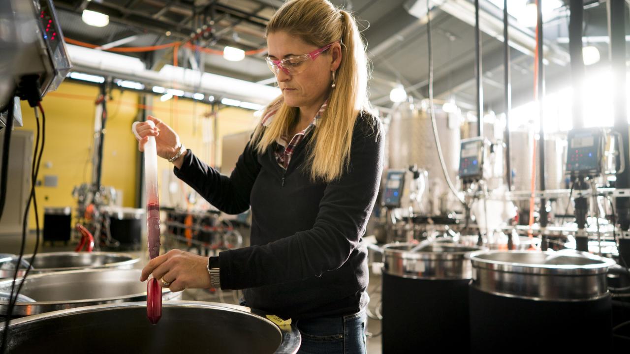 Anita Oberholster holds a pipette over a vat