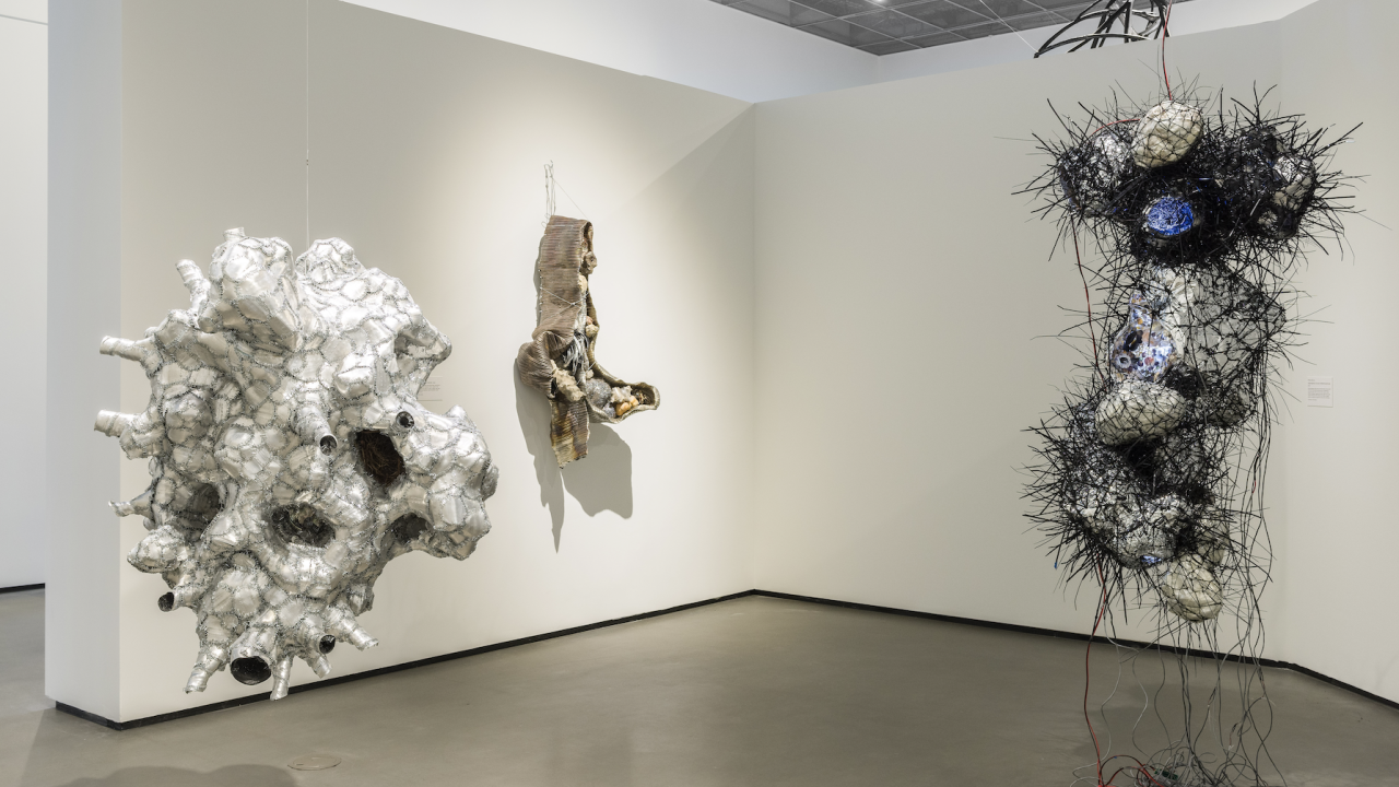 Installation view of works by Phillip Byrne, left to right: Organ for a Future Body, After the End of the World, Aggregating Cocoon (Metamorphosis), all 2024. Photo: Muzi Rowe