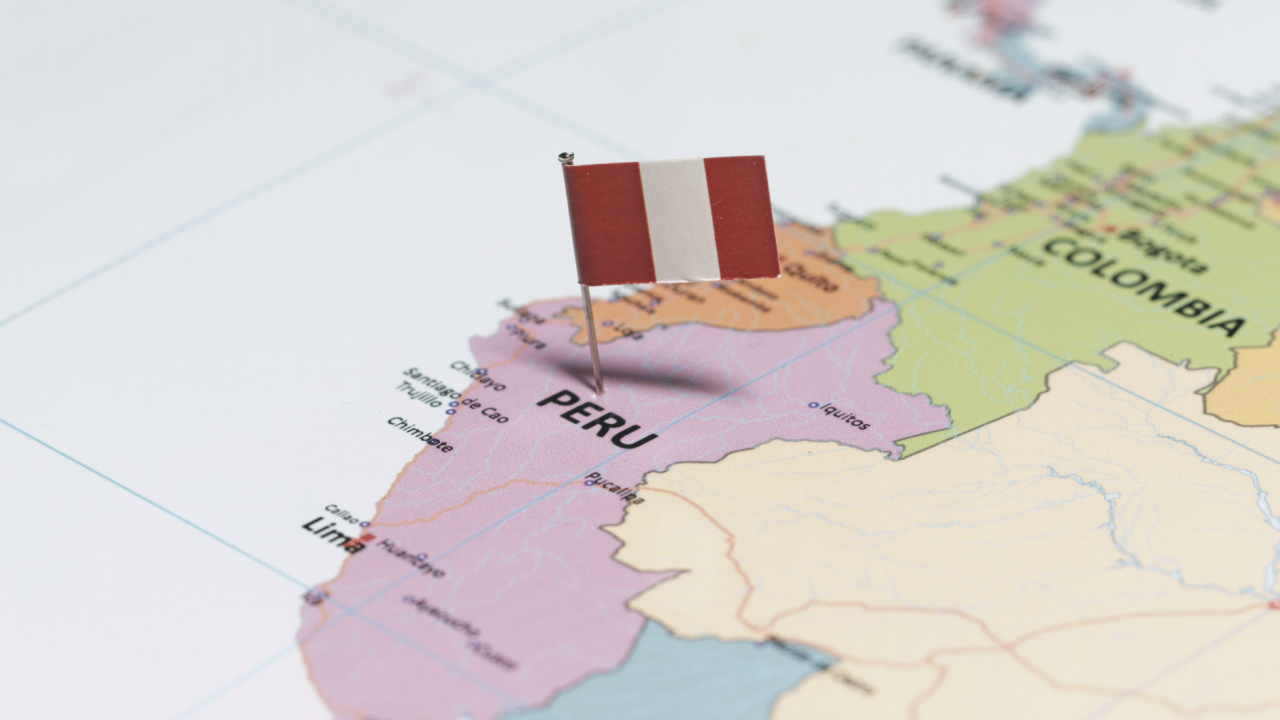 map of South American countries in green and pick with flag.