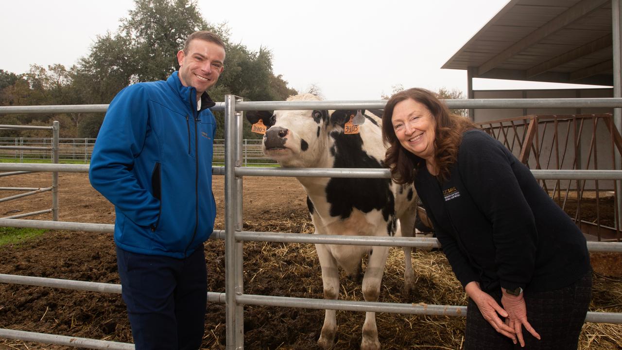 Patrick Seward and Dr. Rhonda Oates flank a cow poking its nose through a pipe fence.