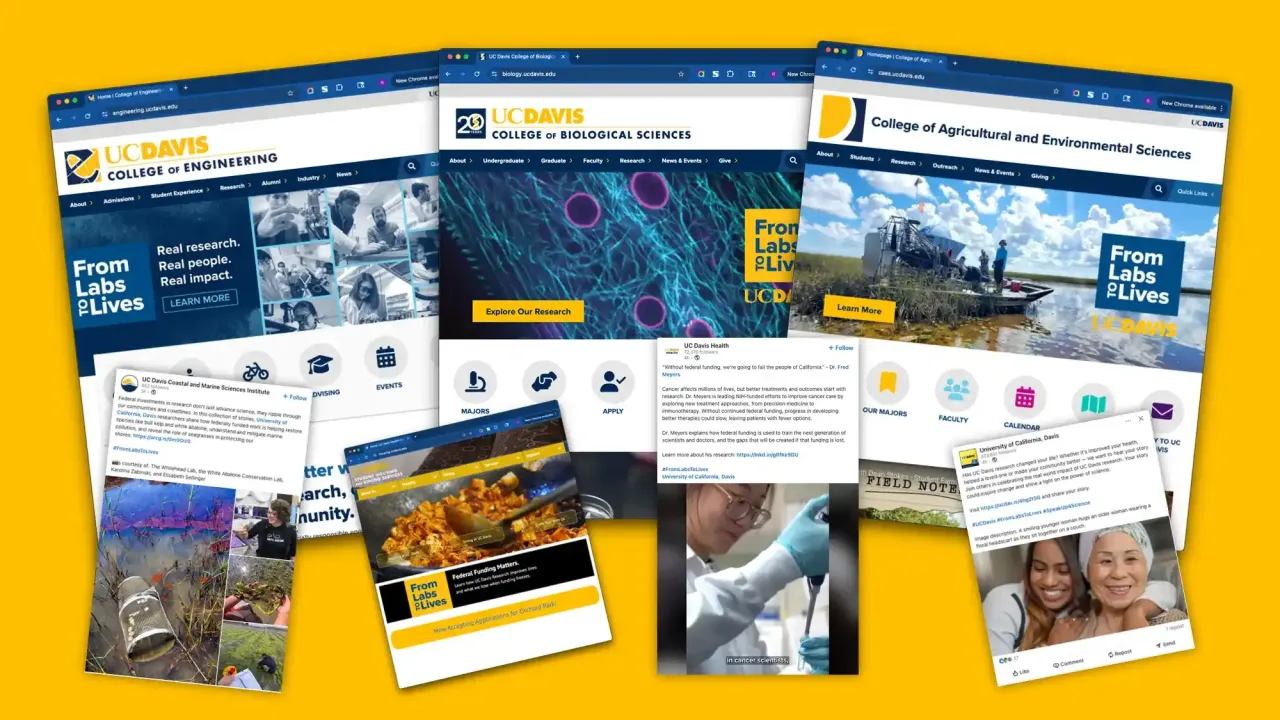 Collage of website designs featuring From Labs to Lives on a gold background.
