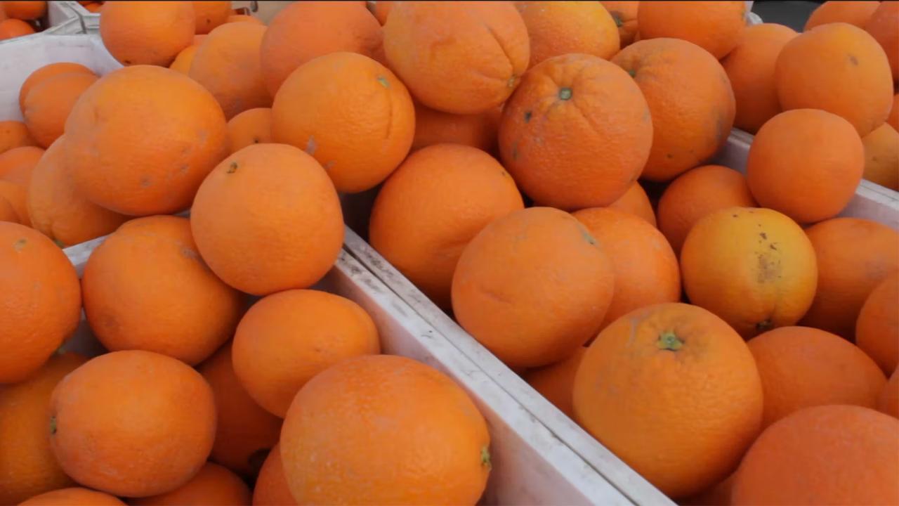 Food Security Programs Promote Student Health | UC Davis
