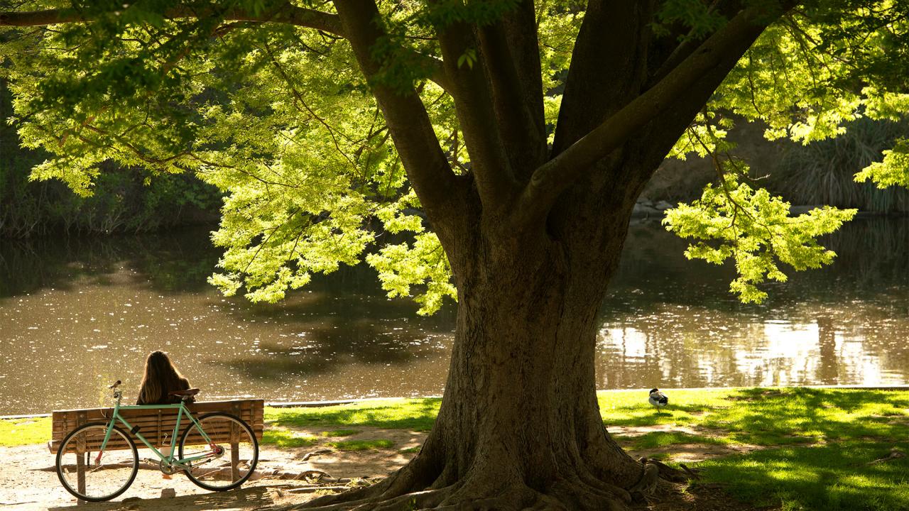 Student sits on bench at Lake Spafford.