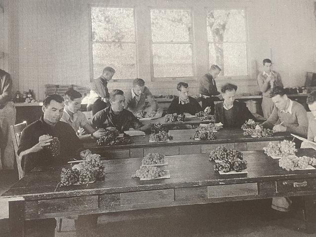 Historical photo of a classroom at UC Davis in 1925