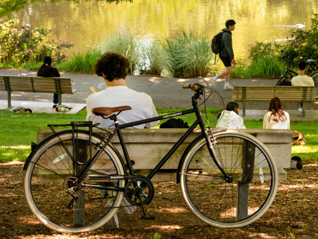 Student sitting on a park bench reading beside a bicycle, with others relaxing and walking near a pond in a peaceful outdoor setting.