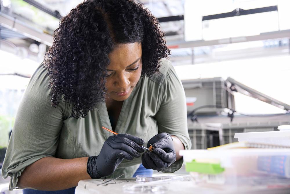 Woman examines tiny land crab 