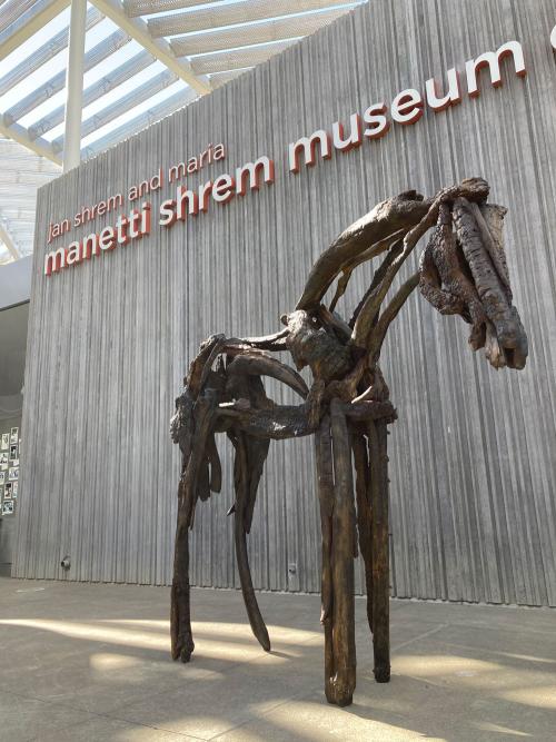 Sculpture of a horse made from twisted metal, with the Manetti Shrem Museum in the background.