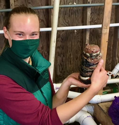 Isabelle Neylan holds a stack of red abalone. She wears a green face mask, vest and red shirt. 