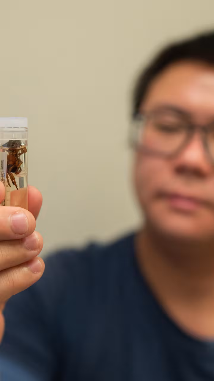 Student holds up a vial with an insect in it