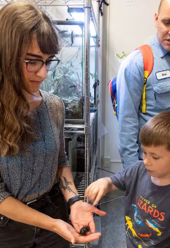 Young child prepares to touch a cockroach