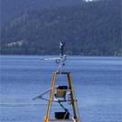 Photo: yellow buoy floating in Lake Tahoe with snowy peaks in background