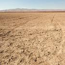 Dry field land stretching to the dry coastal mountains