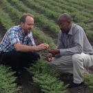 Two men squatting in a field examining something