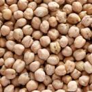 chickpeas