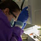 Woman works with pipettes in lab.