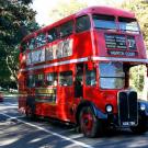 Unitrans double-decker bus (historic model from London)