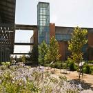 Outside shot of the Mondavi Insitute showing the garden and trees