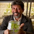 Man holding plant in plastic container