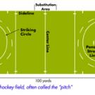 OBJECT OF THE GAME: To hit the ball from within the striking circle, through the opponent's goal, to score points. The team with the most goals wins the game. There are 11 players on the field per team.