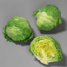 Two full heads of iceberg lettuce and one cut in half