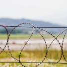 Prison perimeter security wire