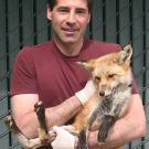 Photo: Ben Sacks holding red fox