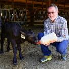 Jeff Stott feeds a calf with a big milk bottle