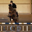 A woman on a horse jumps over an obstacle during a competition.