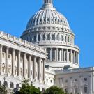 The US Capitol building.