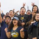 crowds cheer