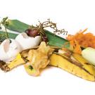 Food scraps